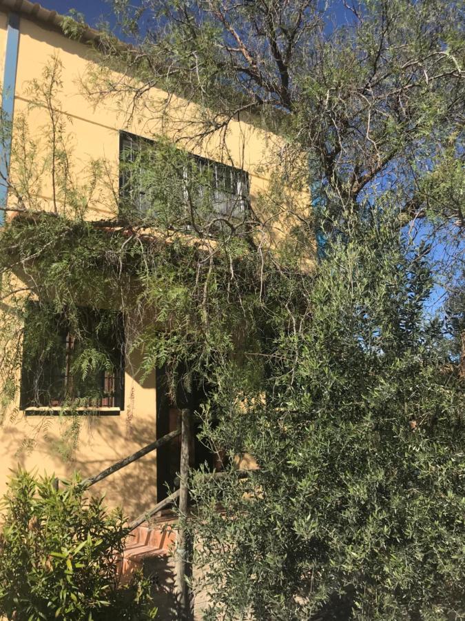 Casa Rural “Las Espinosas” ビジャヌエバ・デル・トラブコ エクステリア 写真