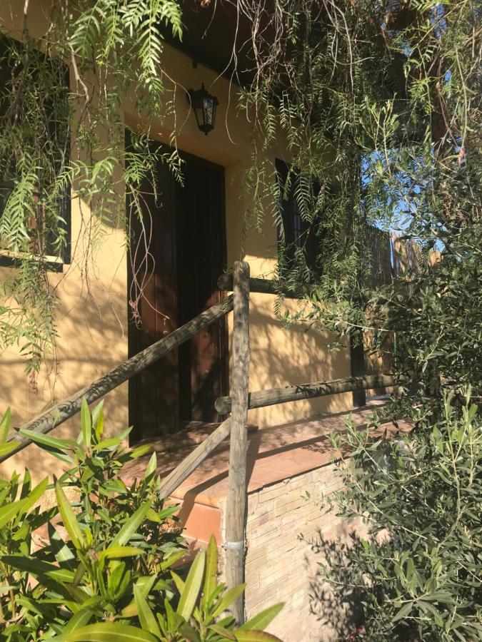 Casa Rural “Las Espinosas” ビジャヌエバ・デル・トラブコ エクステリア 写真